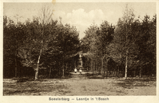 14624 Gezicht in een laantje met naald- en berkenbomen in het bos te Soesterberg (gemeente Soest).